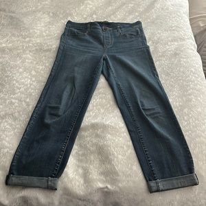 Liverpool Denim Stretchy Jeans